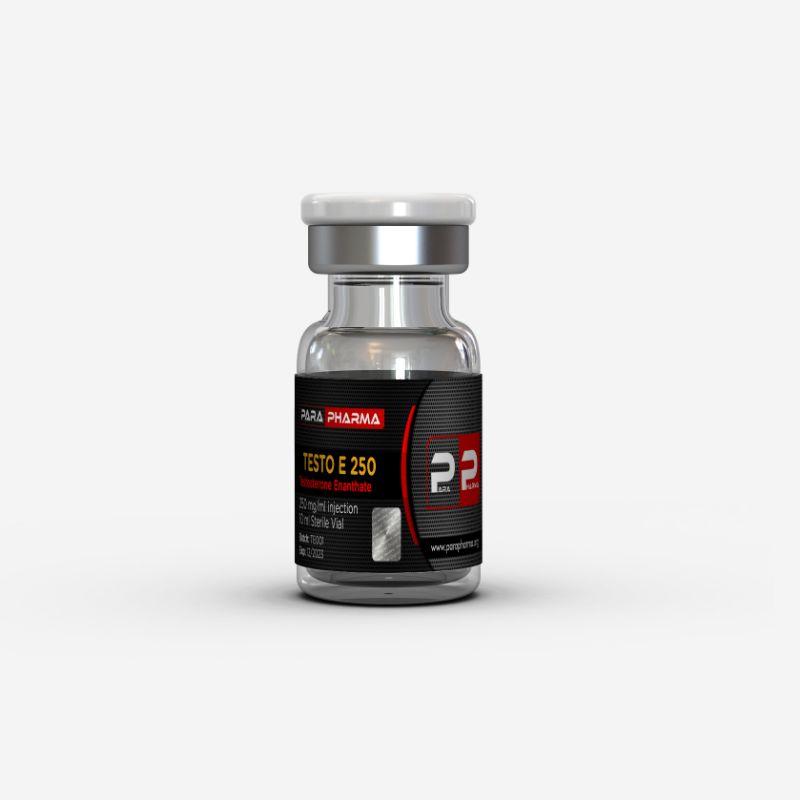 testo e250 testo e250